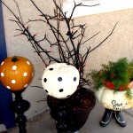 dsc00833.jpg
