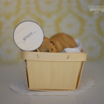 dsc04982.gif