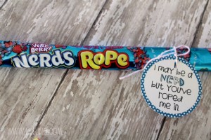 v-day-nerds-rope