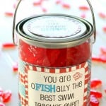 Swim Teacher Appreciation Gift - 7