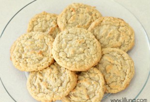 Coconut Oatmeal Cookies - The hubby's favorite! SO good! #cookies