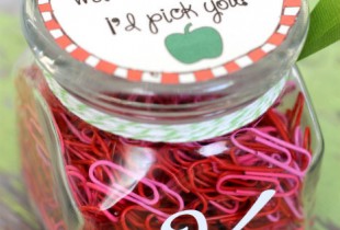 If Teachers Were Apples, I'd Pick You Teacher Gift + Free Tags