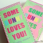 Somebunny Loves You Gift Idea - 4