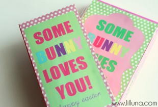 Somebunny Loves You Gift Idea - 4