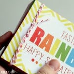 Taste the Rainbow Skittles - 3