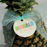 Mahalo Tags - 2