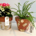 polka dot pot 1