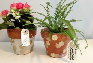 polka dot pot 1