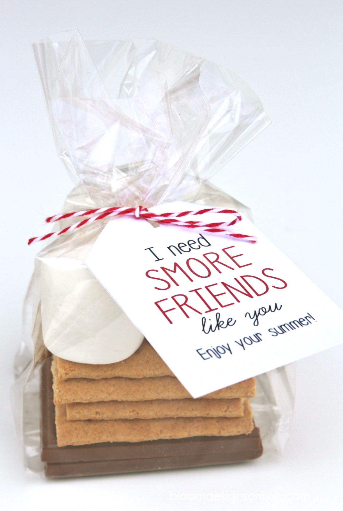 smore-friends-like-you-gift