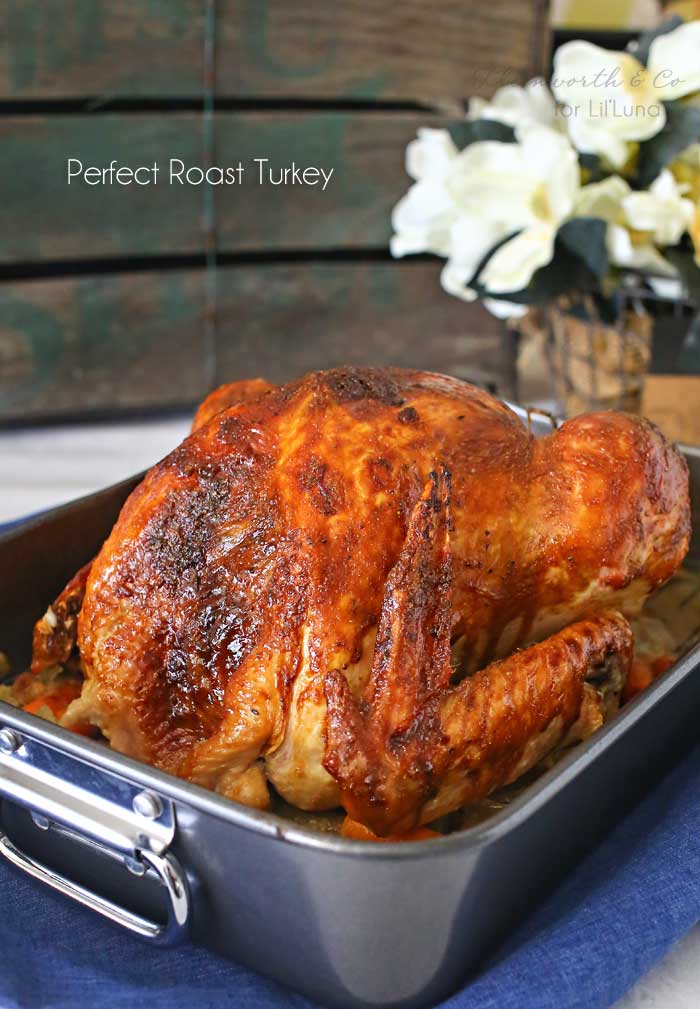 How to Roast a Turkey - best recipe! Lil' Luna