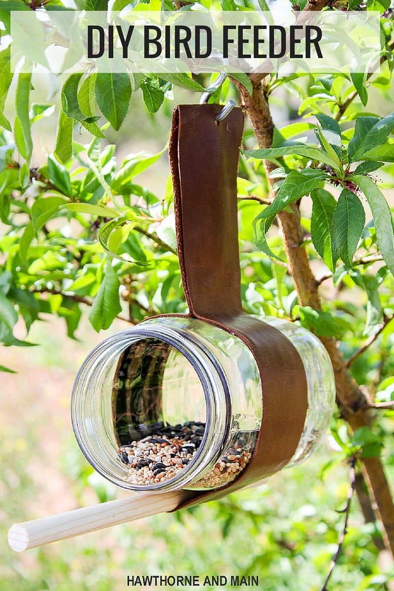 Bird Feeder Designs Diy