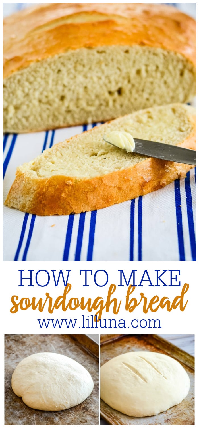 Easy Homemade Sourdough Bread Recipe Lil Luna