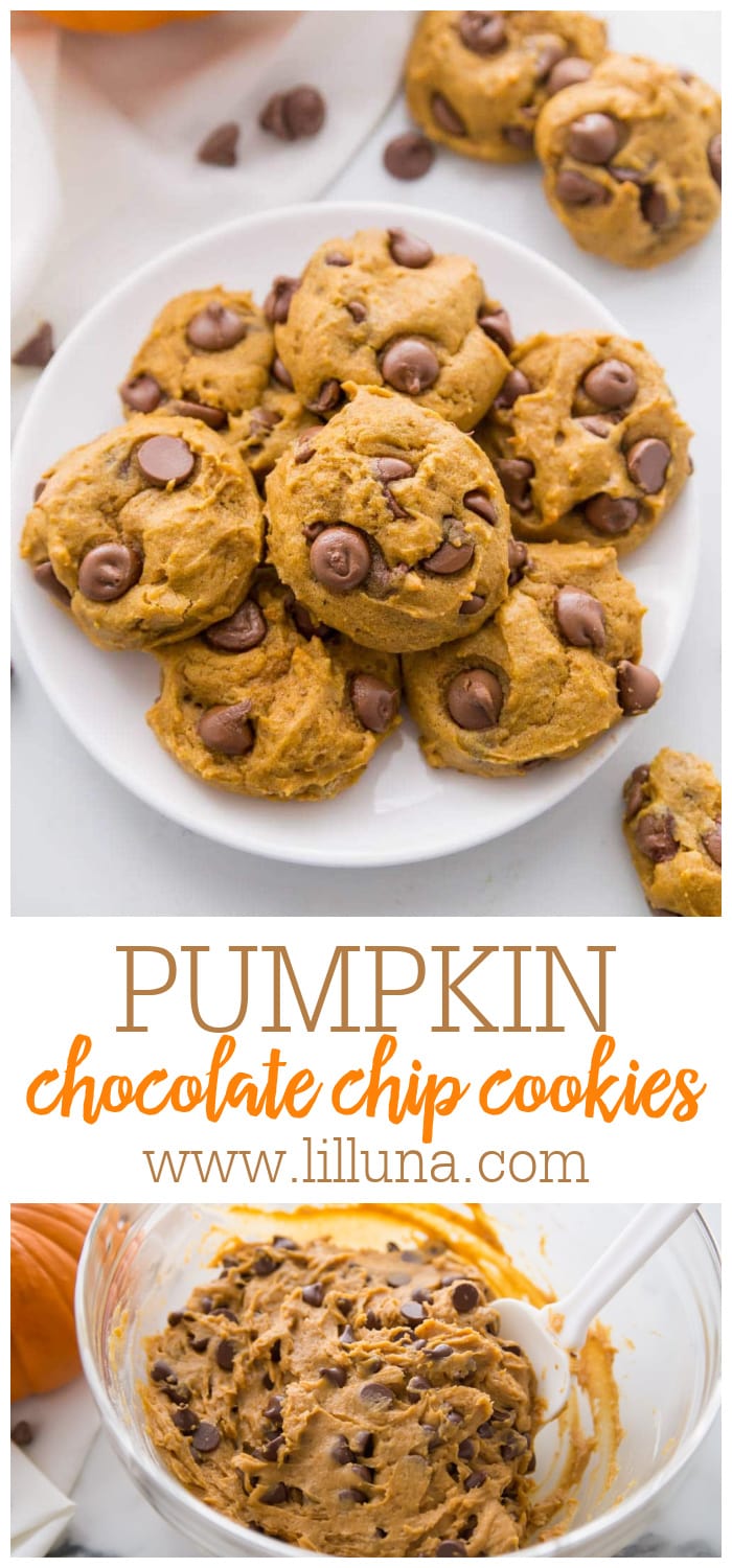 Best Pumpkin Chocolate Chip Cookies VIDEO Lil Luna