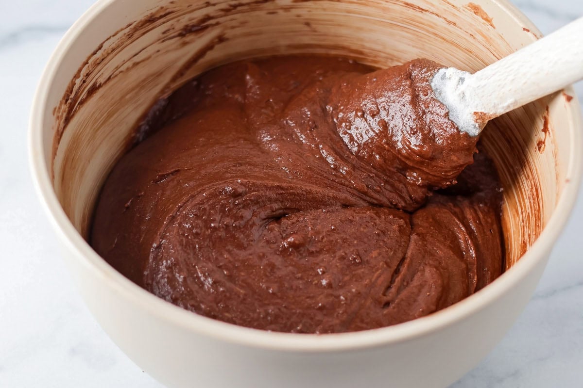A bowl of brownie batter.