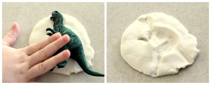 diy dinosaur fossils