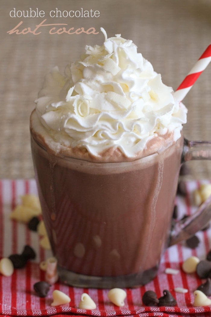 Double chocolate hot cocoa in a cup topped with whipped cream.