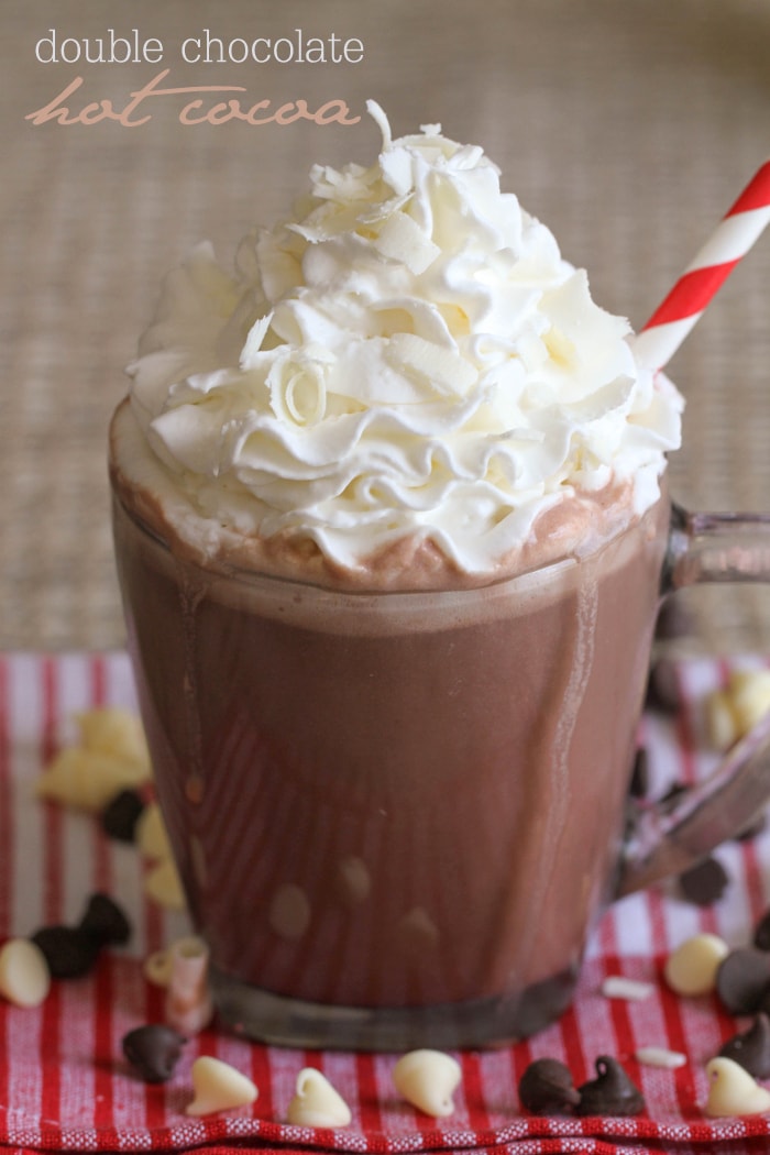 Double Chocolate Hot Cocoa Recipe Rich Delish Lil Luna