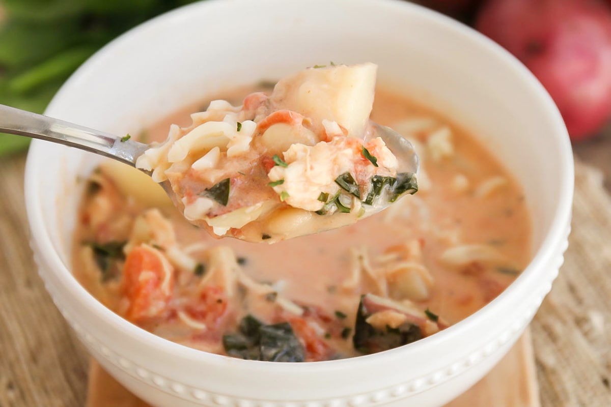Italian Soups - White bowl of chicken florentine soup with a spoon.