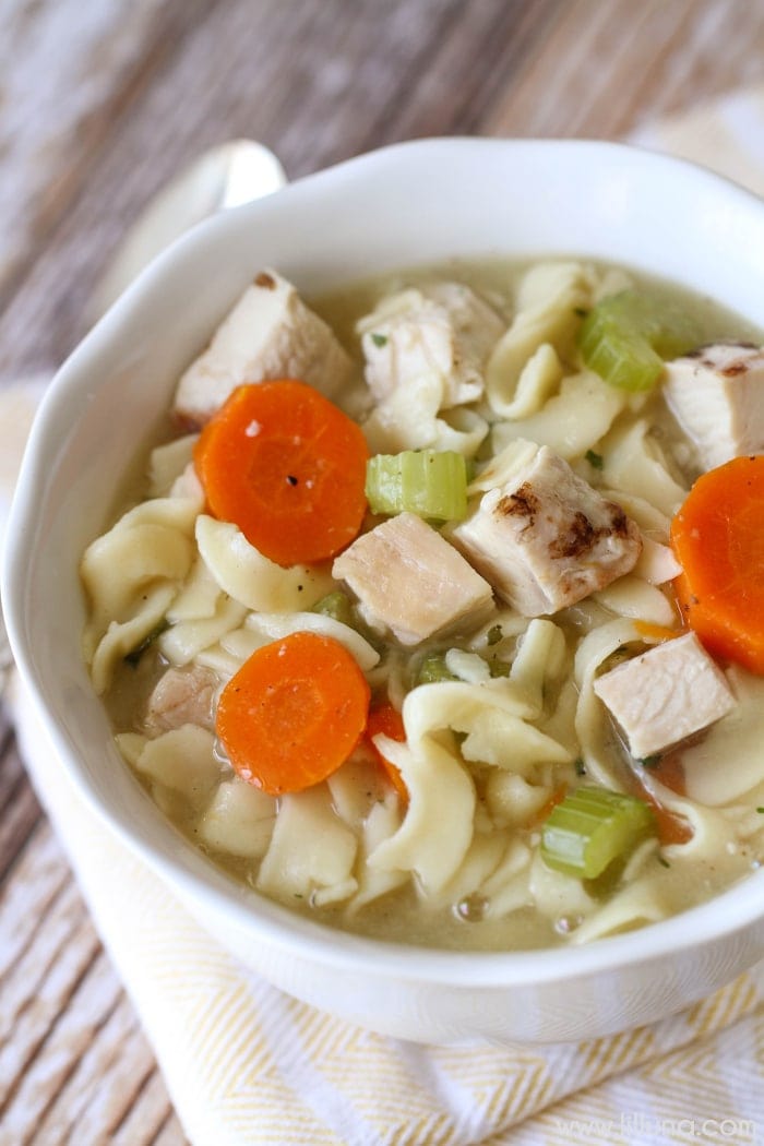 Homemade Chicken Noodle Soup Recipe (+VIDEO) | Lil' Luna