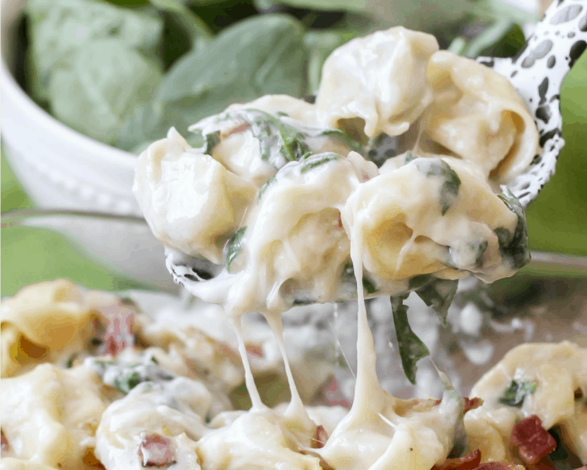 Baked Tortellini scooped with a serving spoon