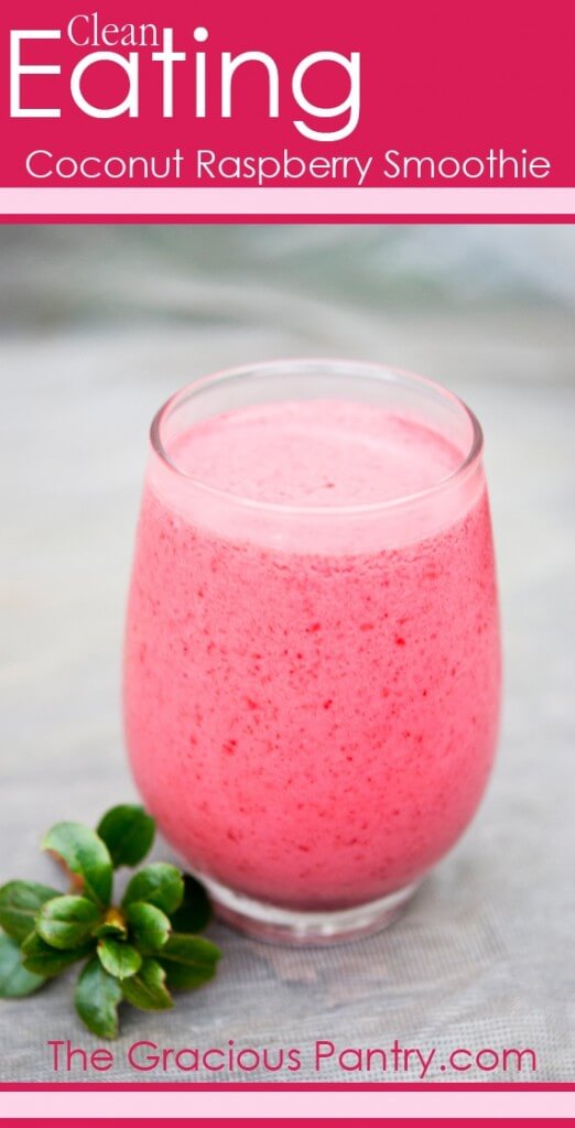 Homemaker in Heels 2: 10 Smoothie Recipes