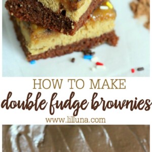 double fudge brownie murder double fudge brownie murder
