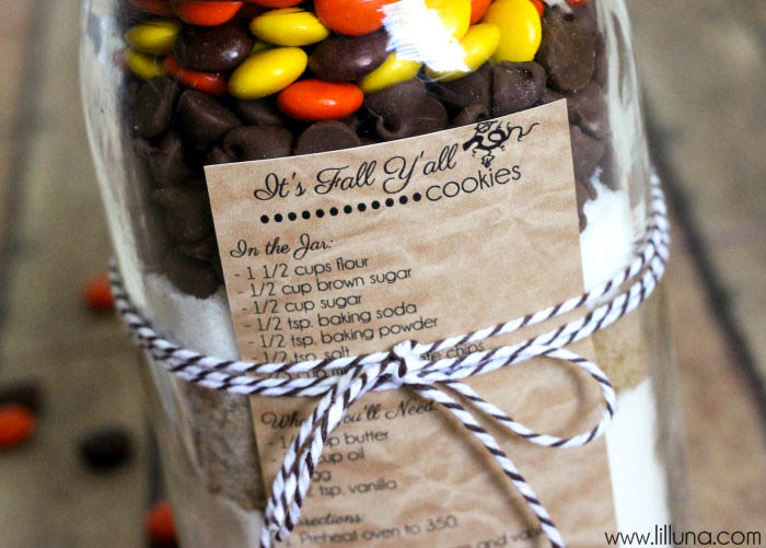 Fall Cookies in a Jar Gift with free recipe tag on { lilluna.com } This makes a great gift & is so easy to put together!