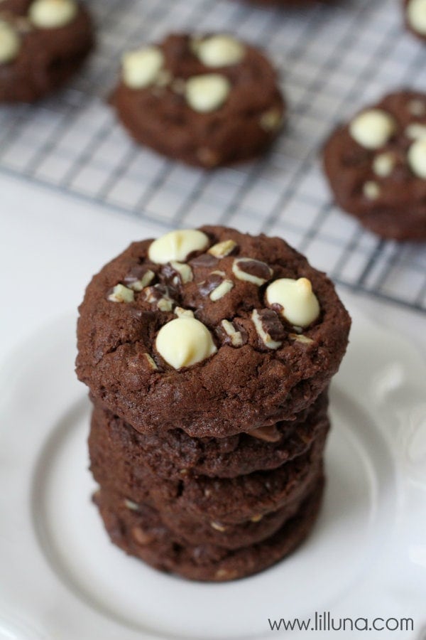 Soft and Delicious Double Chocolate Mint Cookies! #cookies #mint #chocolate