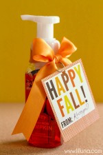 Fall Gift Idea