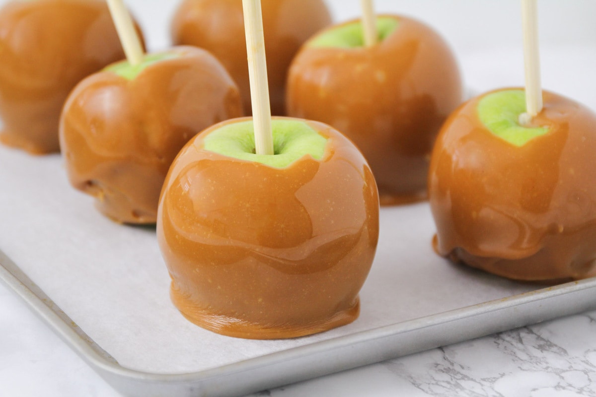 Caramel dipped apples lined up on a cookie sheet.