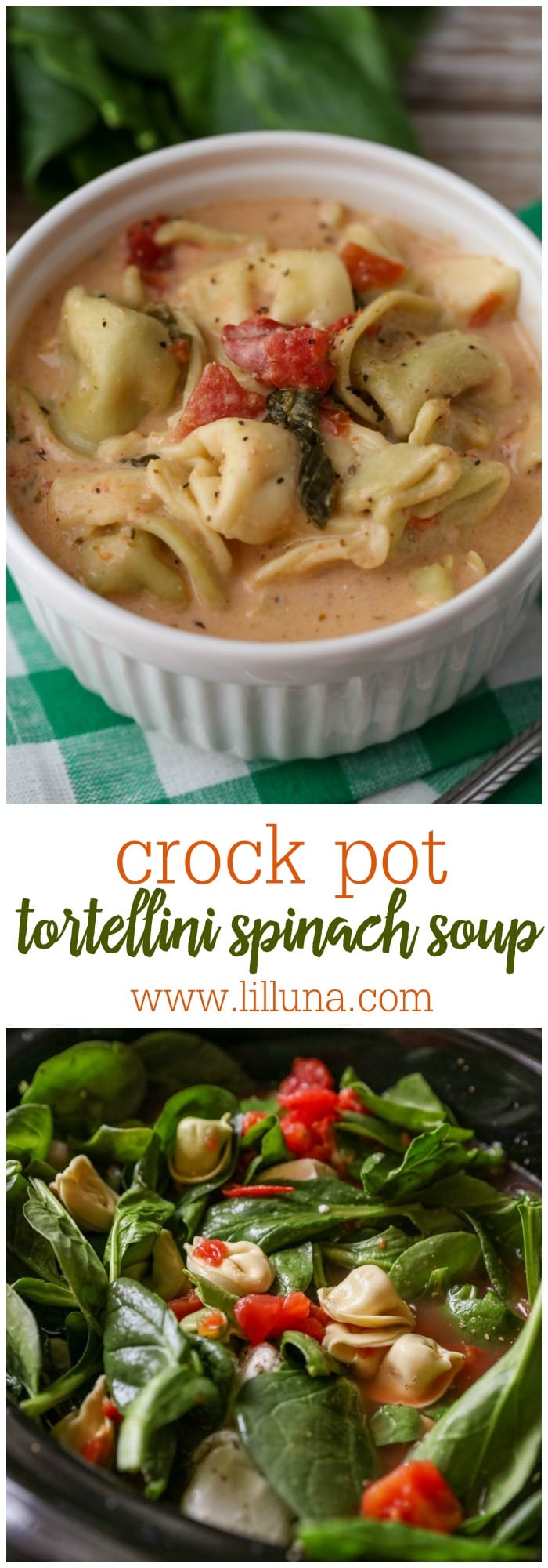 Crock Pot Tortellini Spinach Soup (+VIDEO) Lil' Luna
