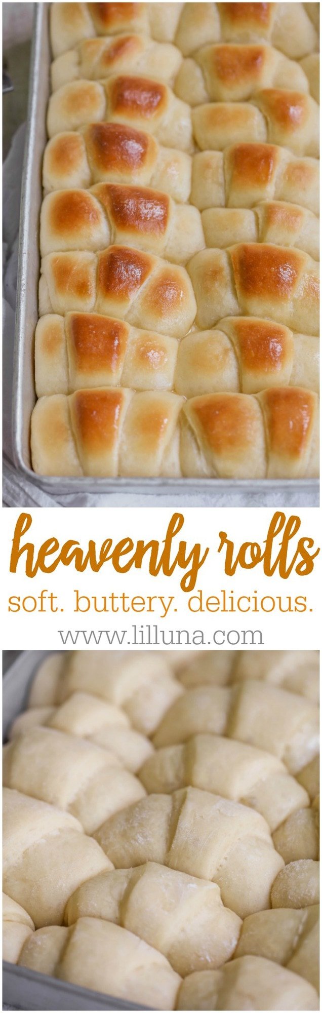 All-time Favorite Rolls Recipe - so soft, buttery and delicious. It's a family favorite!