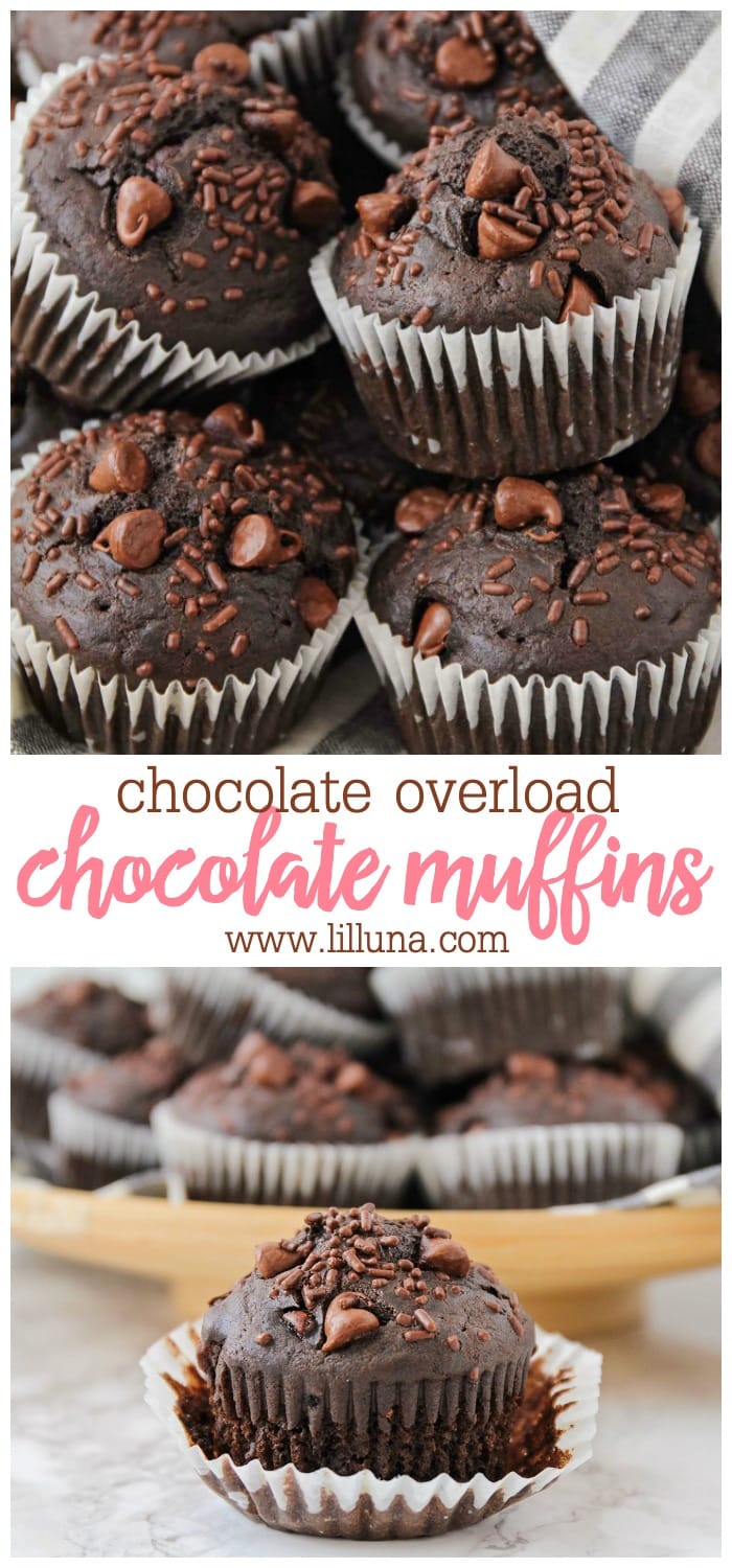 Double Chocolate Muffins {Loaded with Chocolate Chunks!} | Lil' Luna