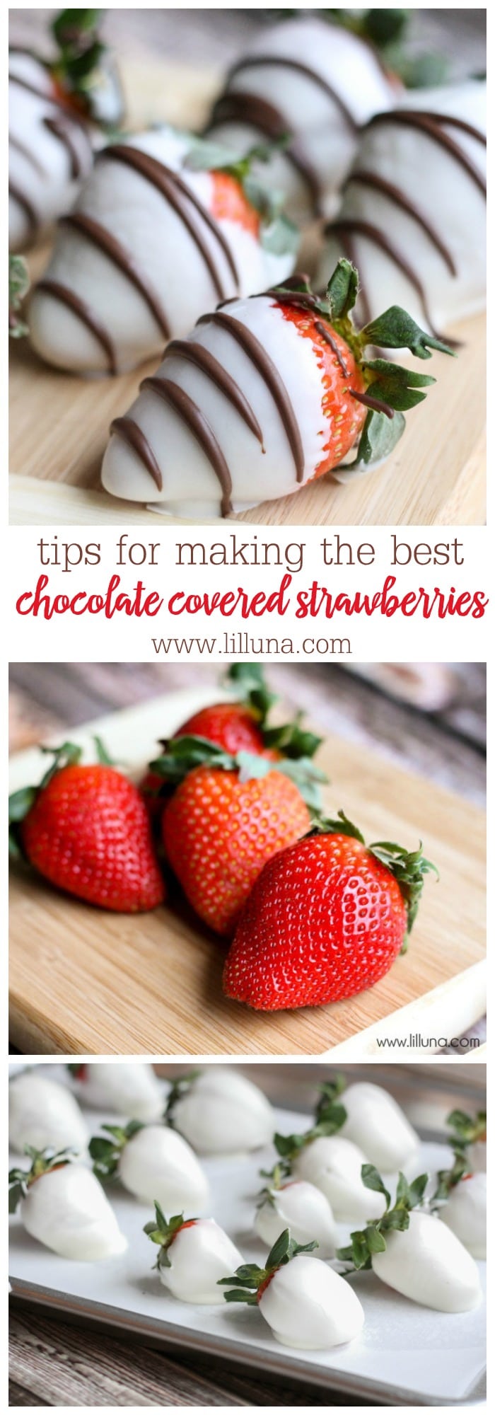 How to make Chocolate Covered Strawberries  Lil Luna