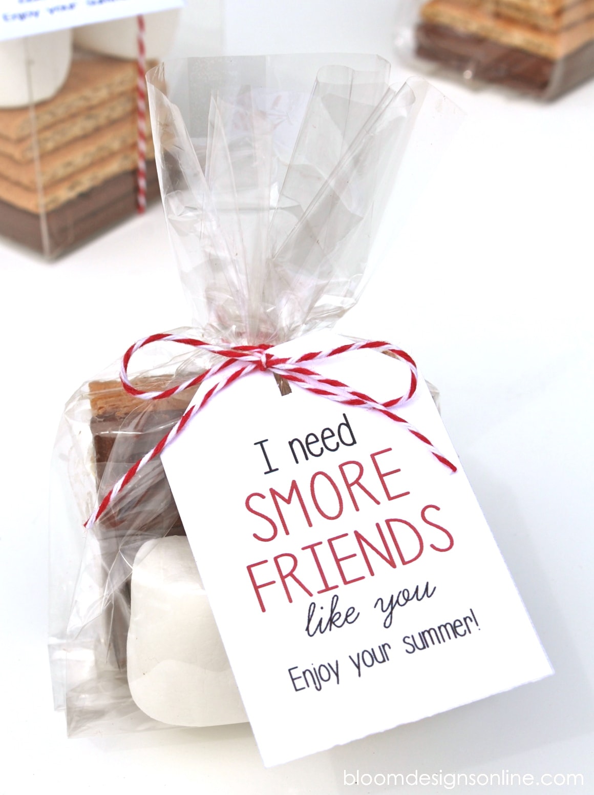 Smore Friends Like You Gift