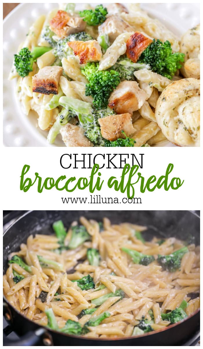 Chicken Broccoli Alfredo {Easy + Cheesy} | Lil' Luna