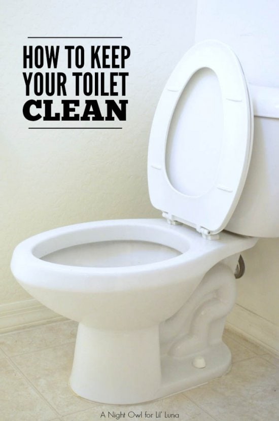 How to Keep Your Toilet Clean