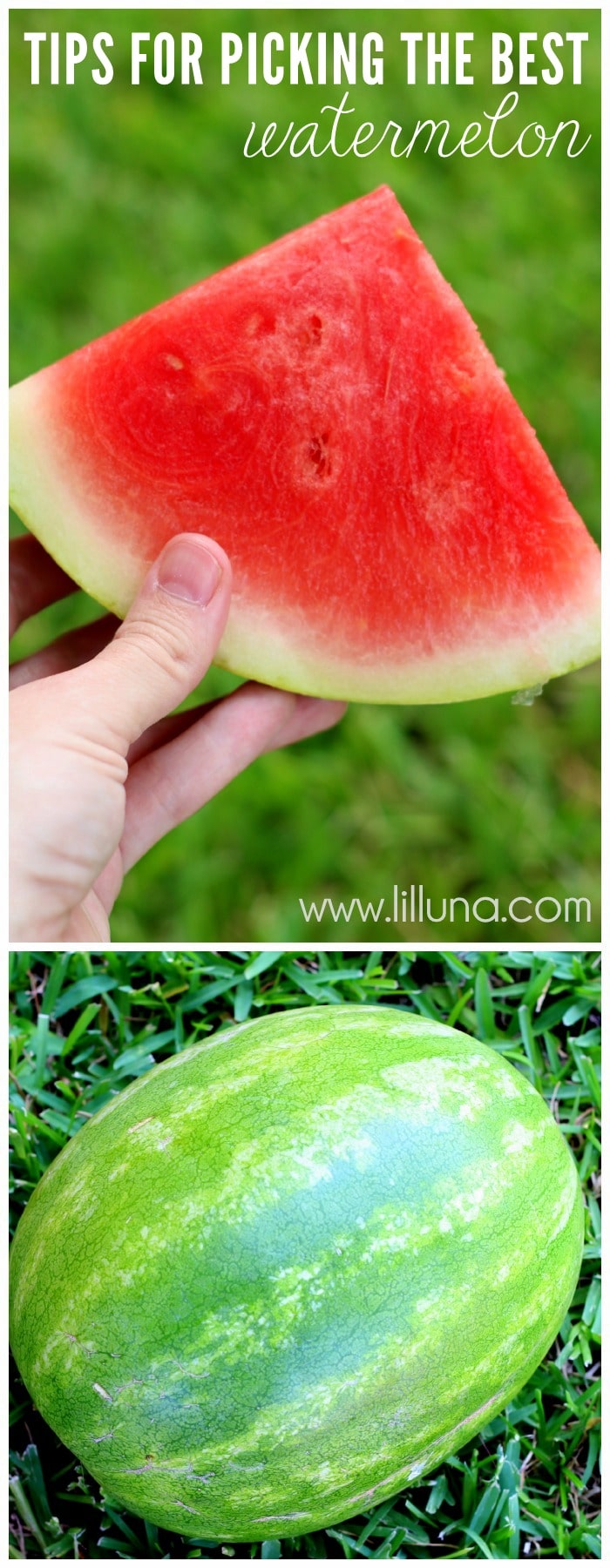 How to Pick Out a Good Watermelon