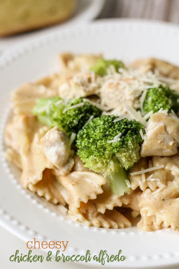 chicken and broccoli alfredo