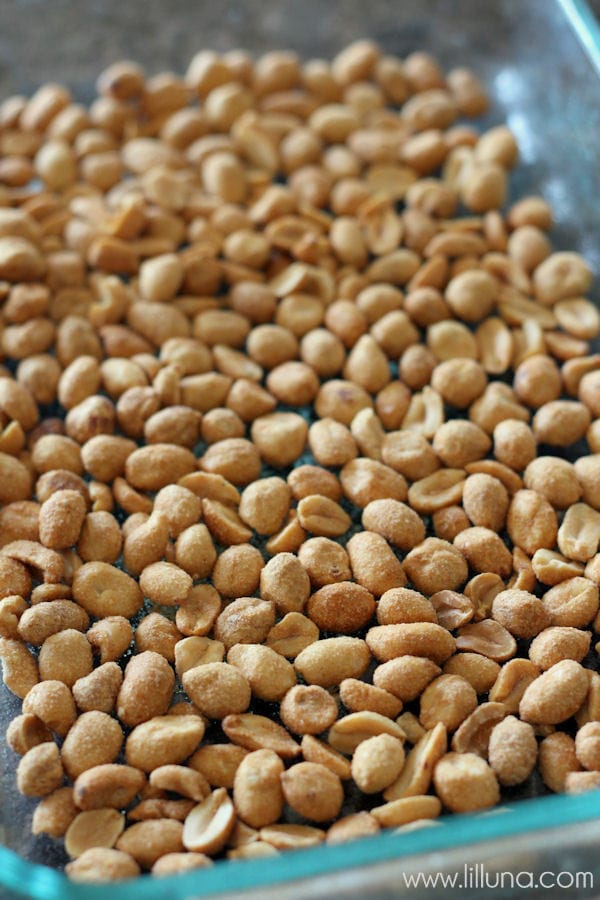 Layer of peanuts in a glass dish