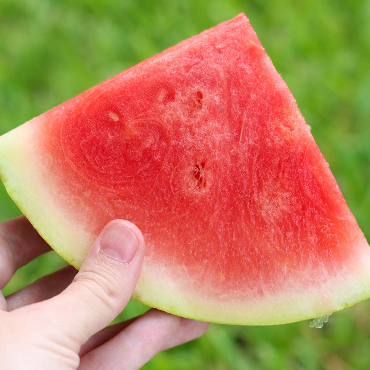 A perfectly picked slice of ripe watermelon.