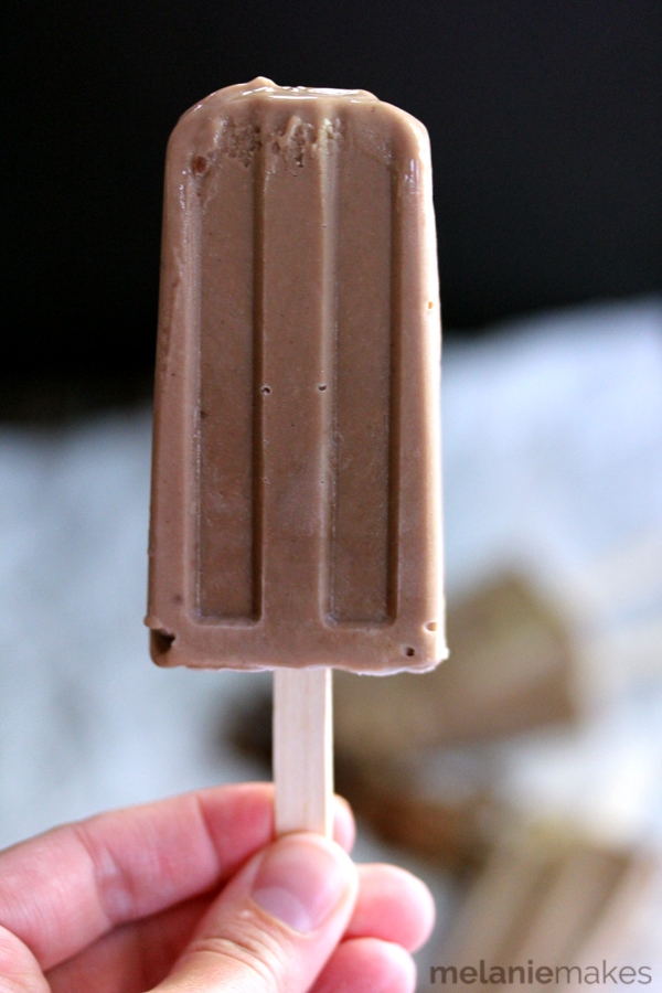 Dulce de Leche Chocolate Pudding Pops