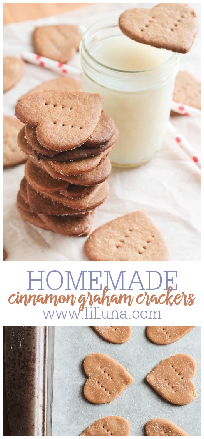 Homemade Cinnamon Graham Crackers {From Scratch!} Lil' Luna