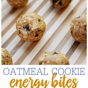 Oatmeal Cookie Energy Bites