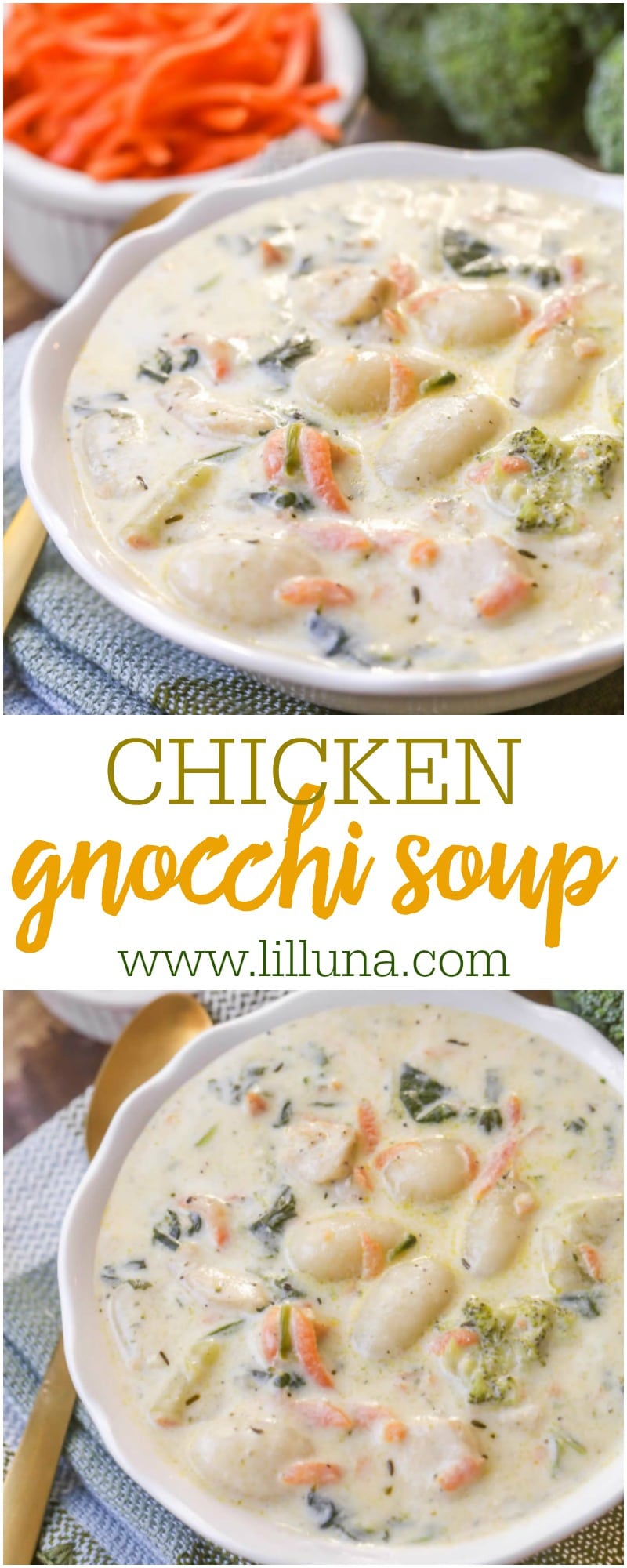 Chicken Gnocchi Soup recipe | Lil' Luna