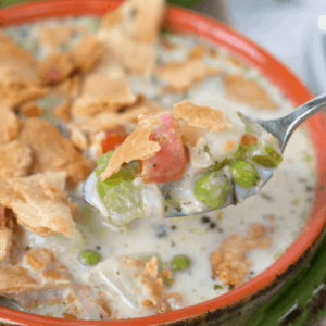 The ultimate comfort food right here! This creamy, delicious Chicken Pot Pie Soup has all your favorite vegetables, big chunks of chicken, and even seasoned pie crust crumbled on top. It's the perfect bowl of soup to warm your tummy and soul!