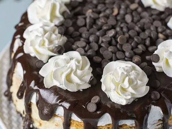 Double Layer Pumpkin Cheesecake with Oreo Crust