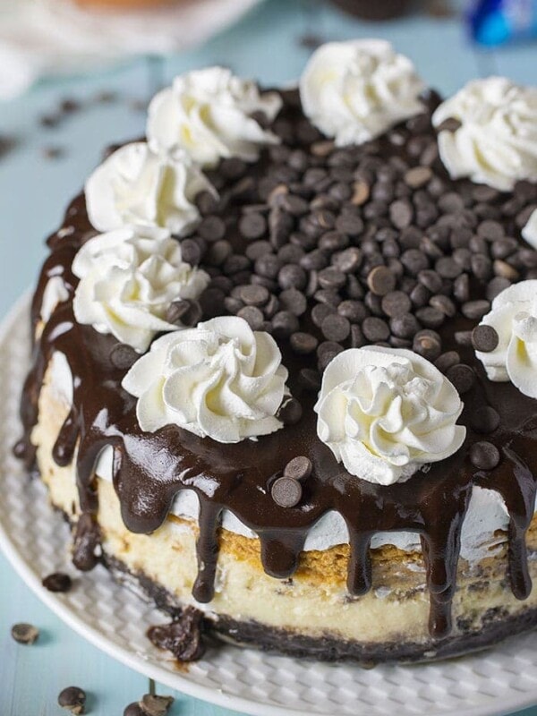 Double Layer Pumpkin Cheesecake with Oreo Crust