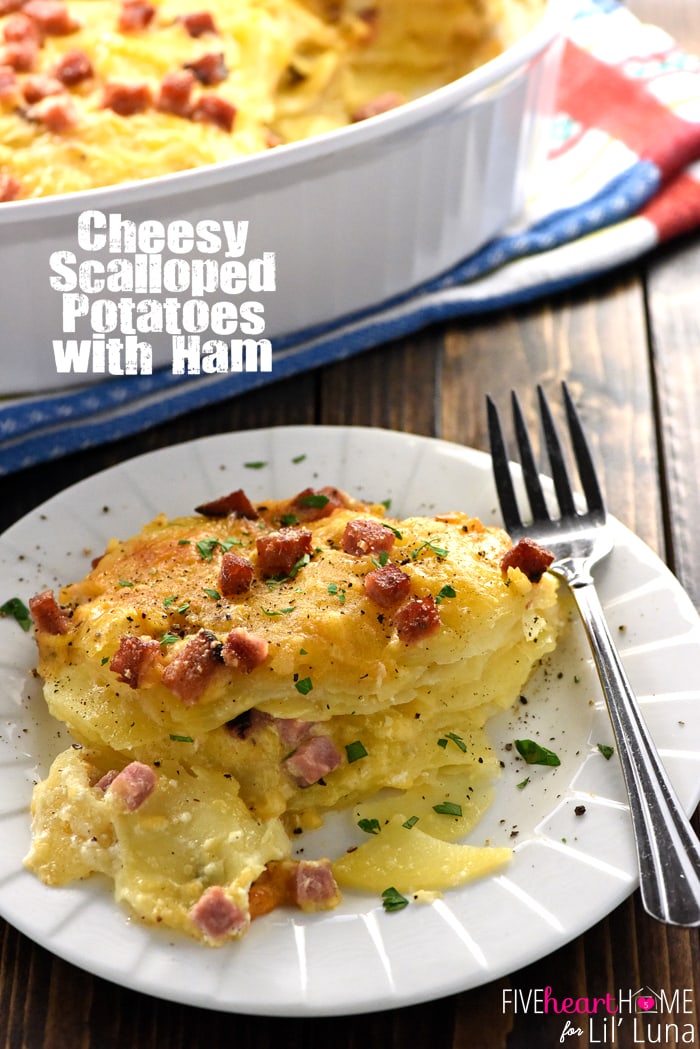 Cheesy Scalloped Potatoes and Ham recipe  Lil Luna