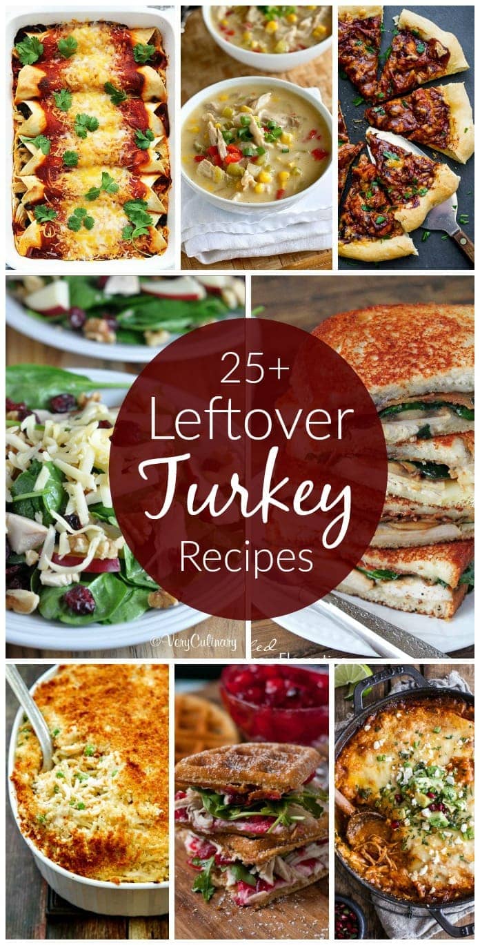 25+ Leftover Turkey Recipes | Lil' Luna